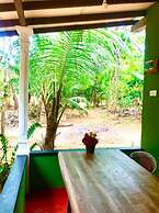 Green Bamboo House
