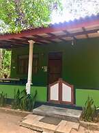 Green Bamboo House