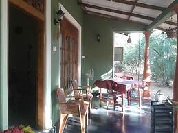Green Bamboo House
