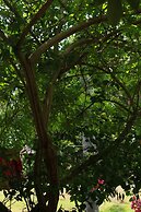 Anura Guest Inn