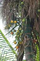 Anura Guest Inn