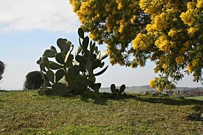 Agriturismo Verdicchio