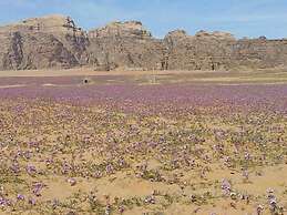Martian desert camp