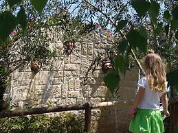 Fattoria Belvedere