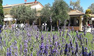 Fattoria Belvedere