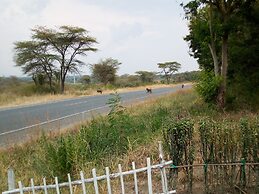 The Elephant home