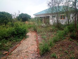 The Elephant home