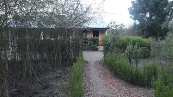 The Elephant home