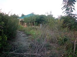 The Elephant home