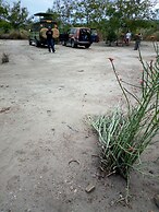 The Elephant home