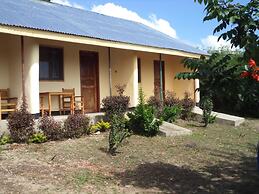 The Elephant home