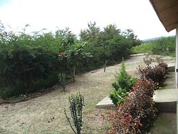 The Elephant home