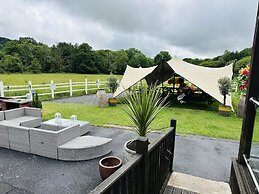Ynys Arms