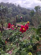 Three Hills Resort & Spa, Coorg
