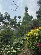 Three Hills Resort & Spa, Coorg