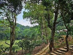 Three Hills Resort & Spa, Coorg