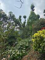 Three Hills Resort & Spa, Coorg