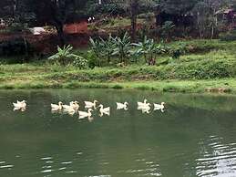 Three Hills Resort & Spa, Coorg
