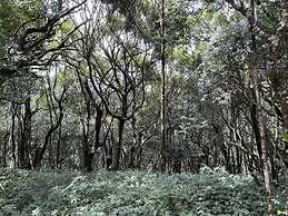 Three Hills Resort & Spa, Coorg