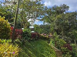 Three Hills Resort & Spa, Coorg