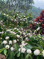 Three Hills Resort & Spa, Coorg