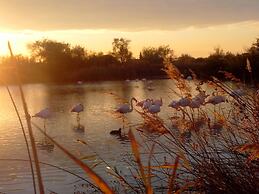 Le Mazet De Jean en Camargue