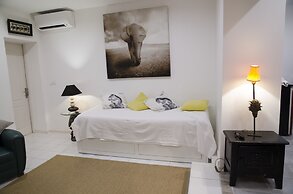 L’Éléphant de Vaugines