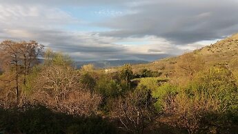 El Naranjo