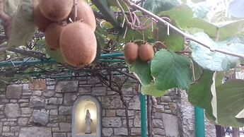 Rural Pension Istra Partner