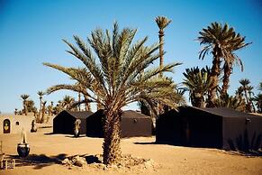 Camp Sahara Nights