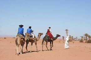 Camp Sahara Nights