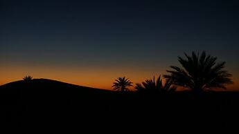 Camp Sahara Nights