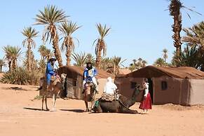 Camp Sahara Nights