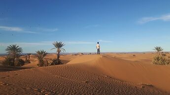 Camp Sahara Nights