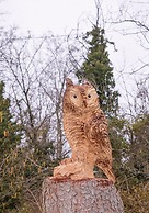 Le case nel bosco