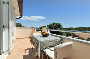 Apartments Emil 596