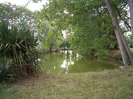 Le Platane