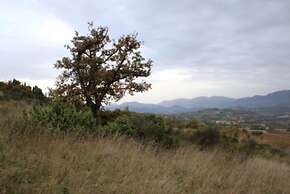 Agriturismo Valdifiori