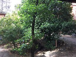 Cabanas Alma Bosque