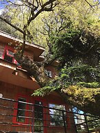 Cabanas Alma Bosque