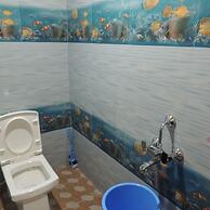 Mysa - Dandeli Lodge