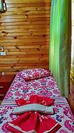 Olympos Tatilya Pansiyon