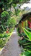 Olympos Tatilya Pansiyon