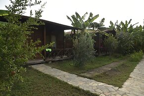 Serenity Bungalows