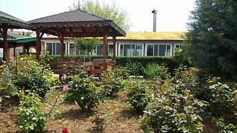 Altinkum Tatil Koyu