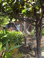 Rainforest Inn