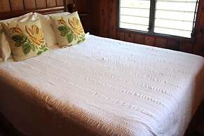 Rainforest Inn