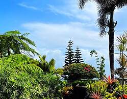 Rainforest Inn