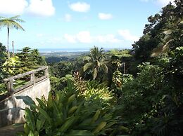 Rainforest Inn