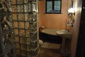 Rainforest Inn